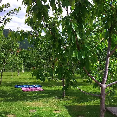 Hills Penzion Cukovi